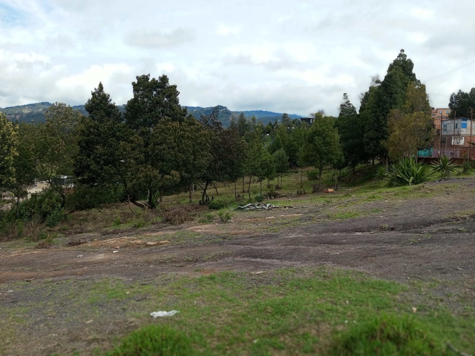 Lote 96 m²